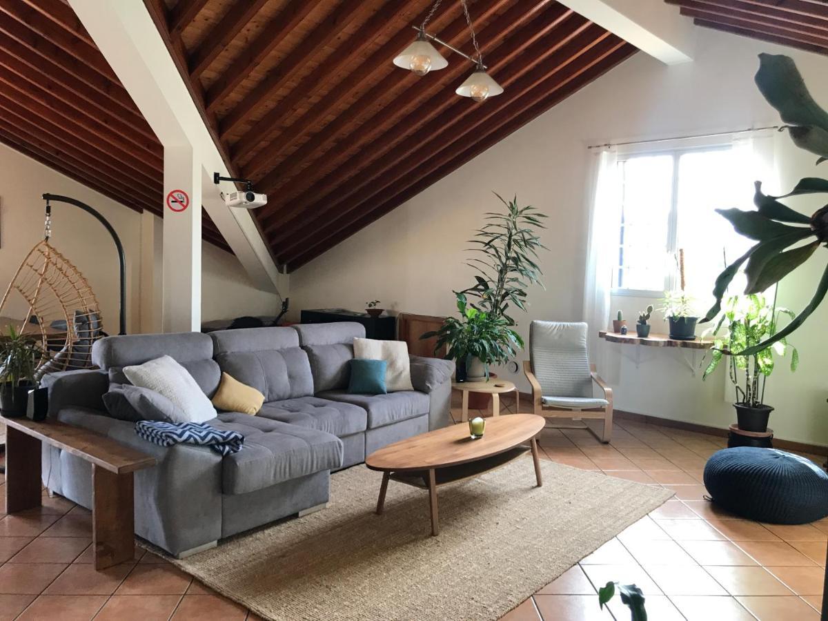 Lava Acores Coliving & Coworking Рібейра-Гранде Екстер'єр фото