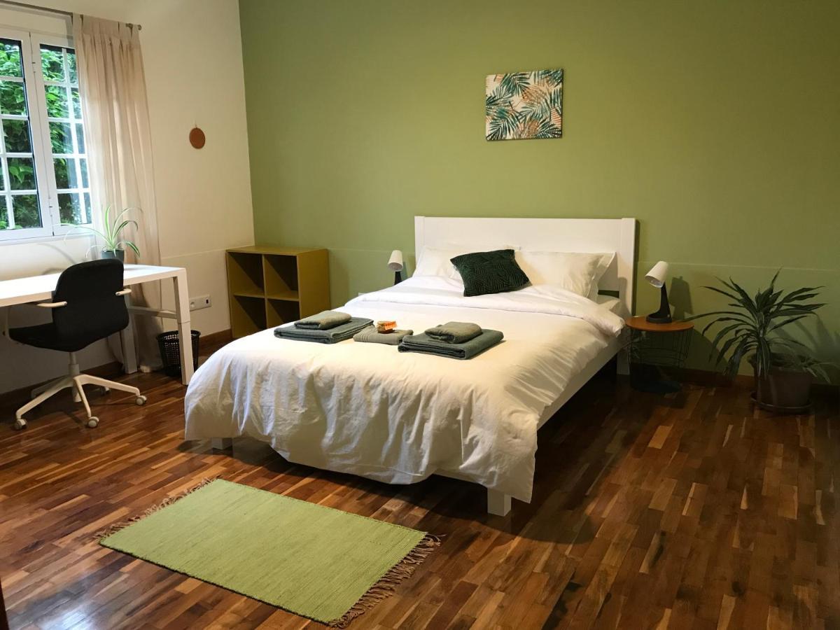 Lava Acores Coliving & Coworking Рібейра-Гранде Екстер'єр фото